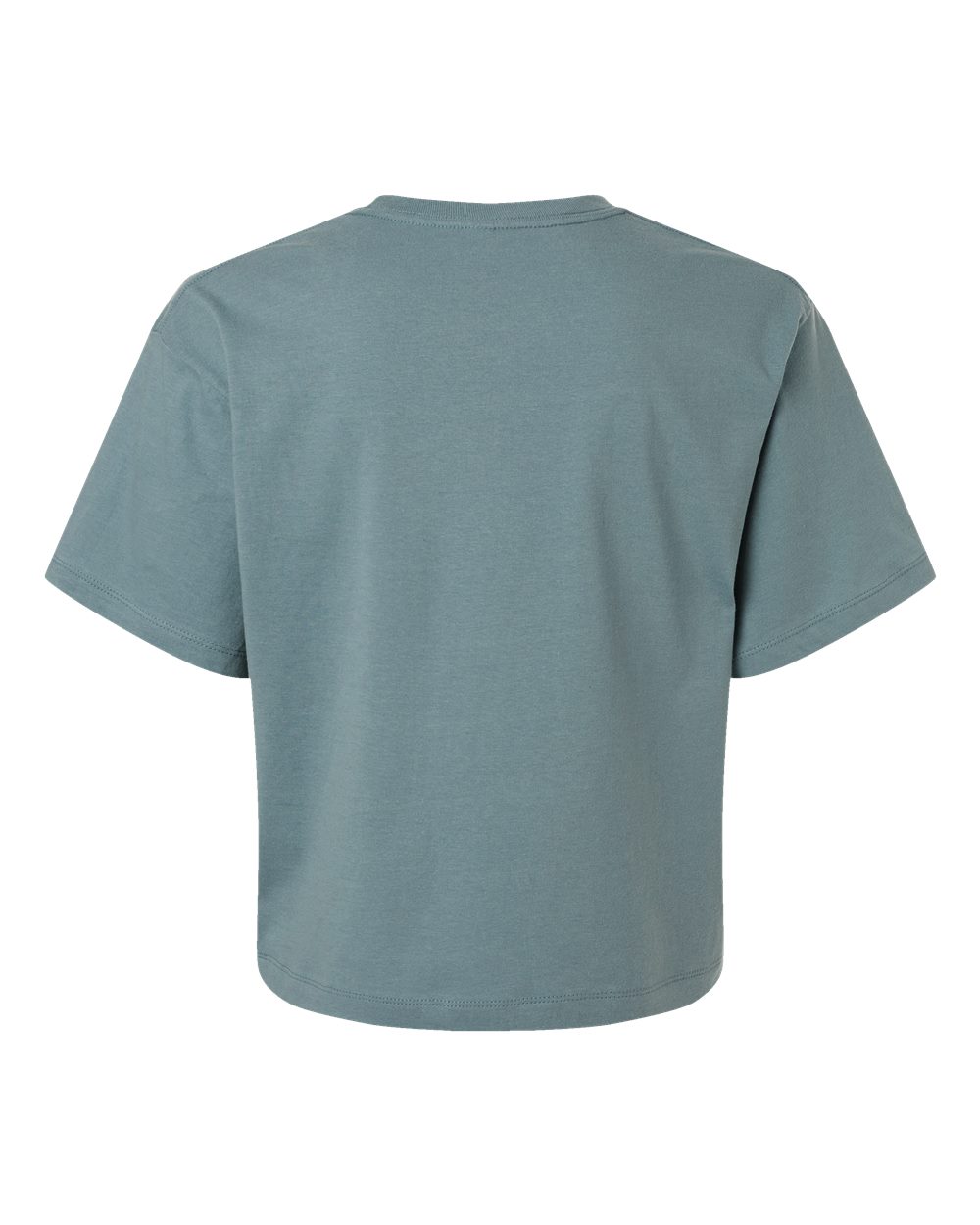 Women's Fine Jersey Boxy Tee Arctic - back