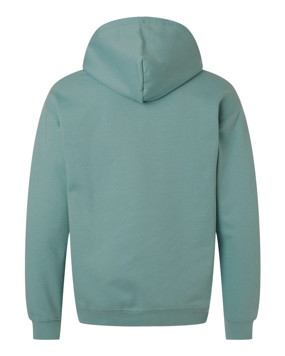 Unisex Softstyle Midweight Hooded Sweatshirt Aquatic - back