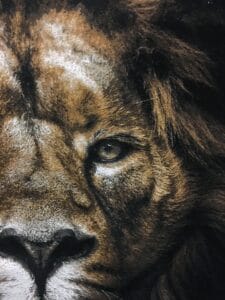 Screen printing sample